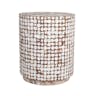 Columbia Coconut Shell Inlay Accent Table White - East At Main