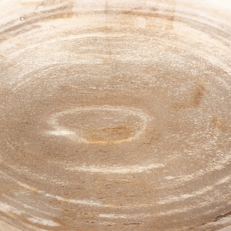 Noki Handmade Petrified Wood Decorative Bowl