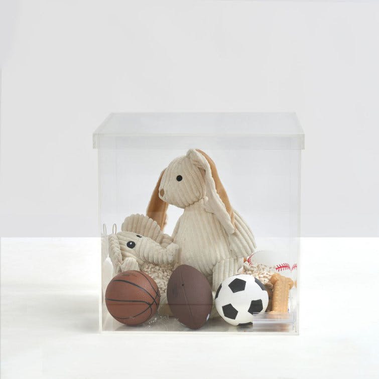 Lucite Clear Square Pet Toy Storage Cube with Removable Lid - 12"