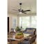 Pickett 52" Black and Brushed Nickel LED Ceiling Fan