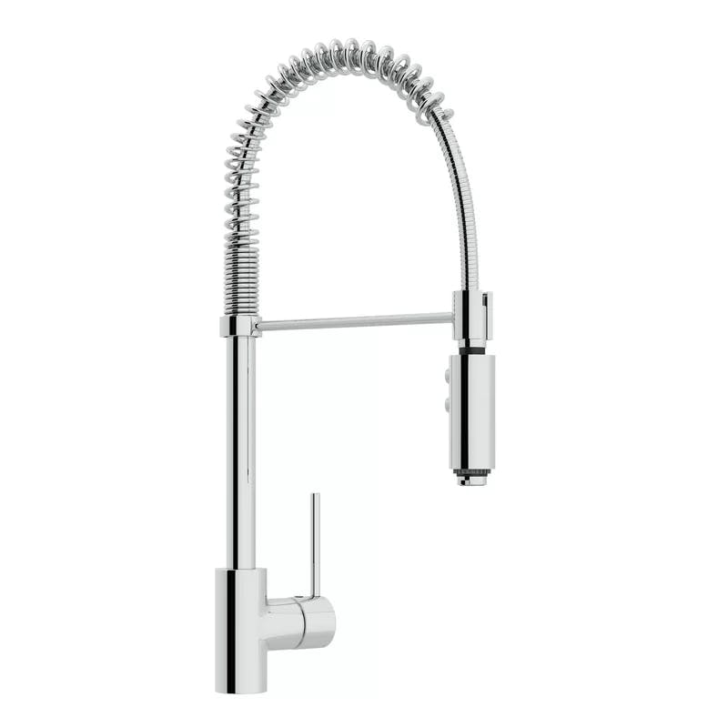 Contemporary Polished Nickel Kitchen Faucet with Pull-out Spray