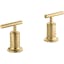 Elegant Vibrant Brushed Moderne Brass Wall-Mount Tub Faucet Lever Handles