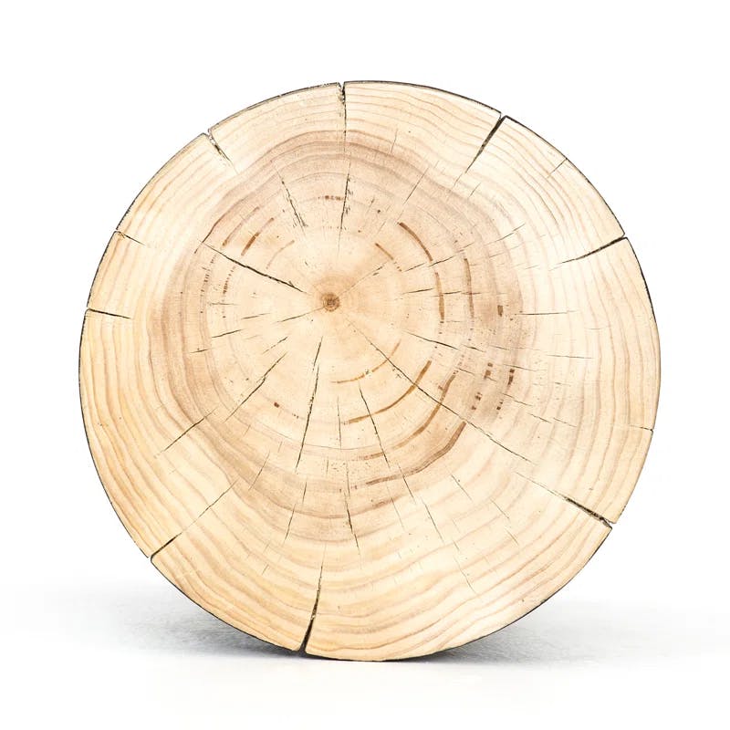 Modern Round Wood Drum End Table in Black and Natural Pine