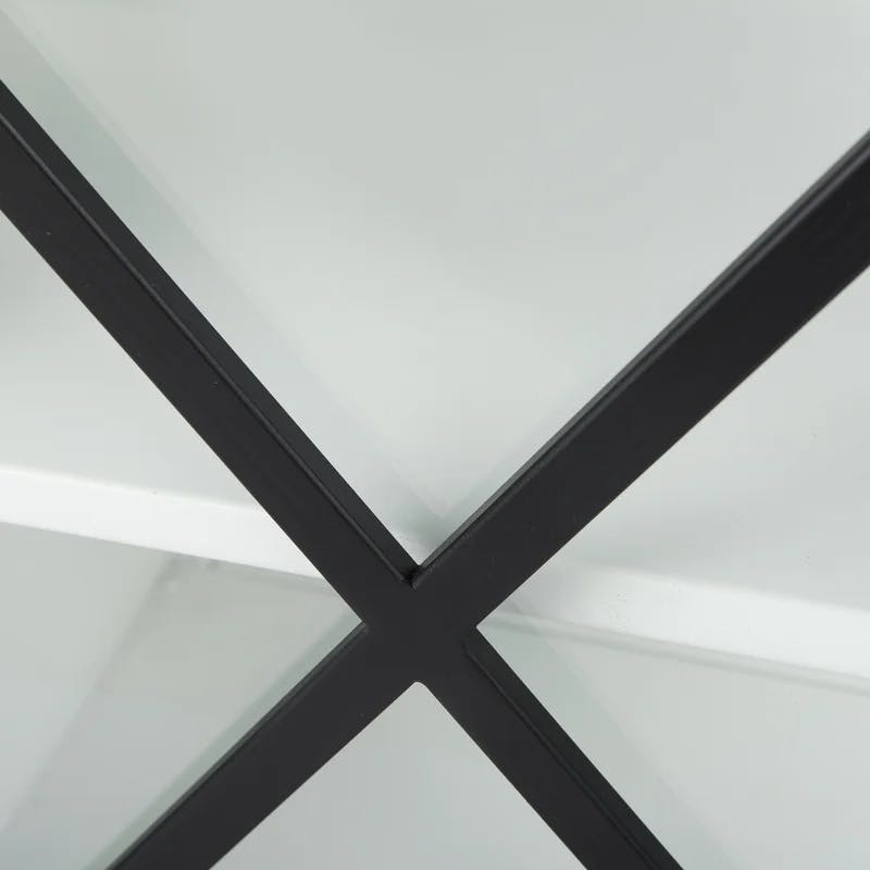 Diego 33'' Black and White Modern Glass Door Storage Cabinet