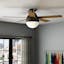 Premier Bronze 46" Anslee LED Ceiling Fan with Reversible Blades