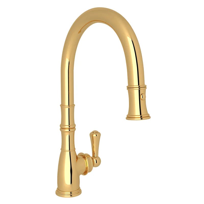 Classic Georgian 16" Polished Nickel Kitchen Faucet with Pull-out Spray
