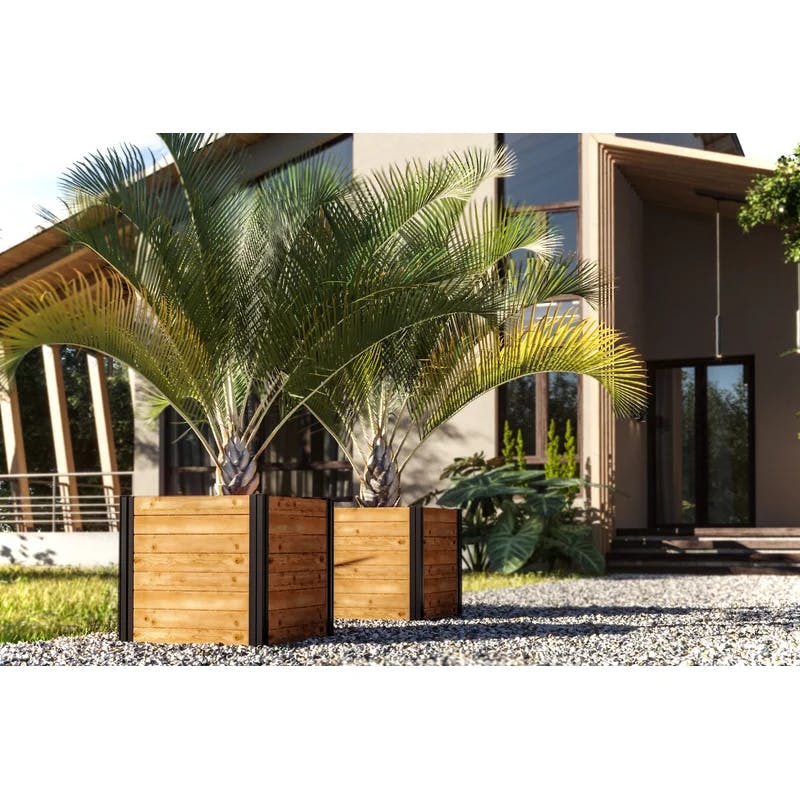 Mezza 22" Golden Brown Cedar Cube Planter with Modern Minimalist Design