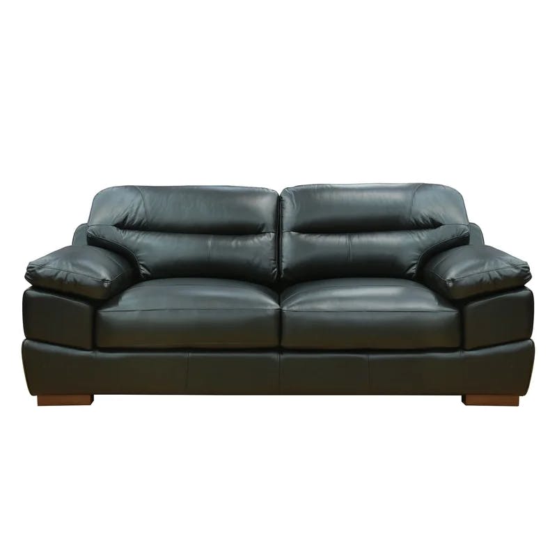Jayson Transitional Black Top Grain Leather Sofa with Pillow-Top Arms