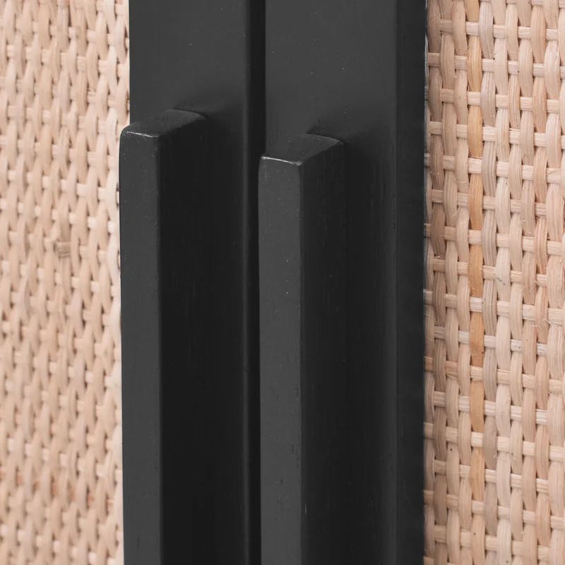 Delancey Boho-Modern Black/Brown Rattan 2-Door Storage Cabinet