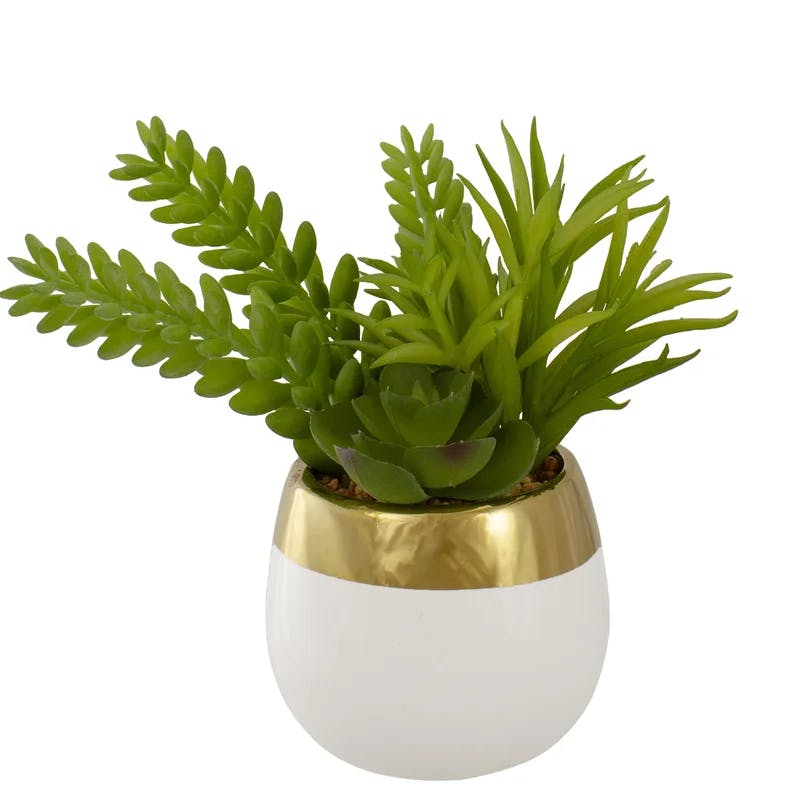 Chic 6.5" White and Gold Ceramic Potted Artificial Succulent