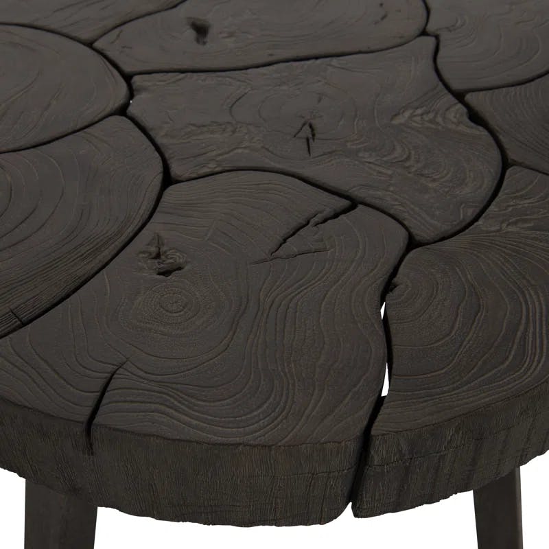 Lanita 24" Black Transitional Round Wood Side Table
