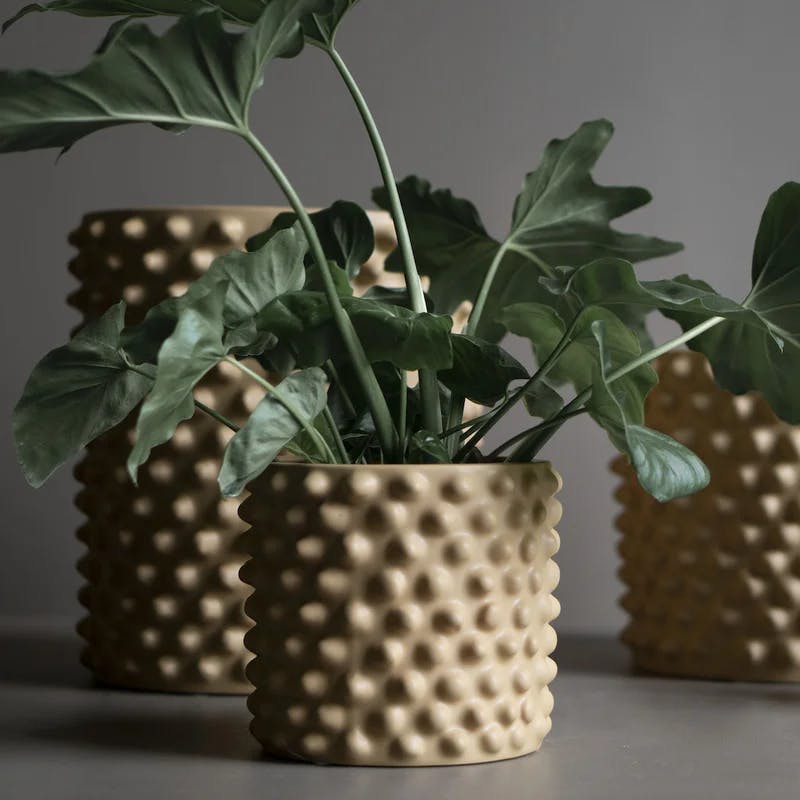 Cloudy 7'' Round Gray Beige Ceramic Indoor Pot Planter