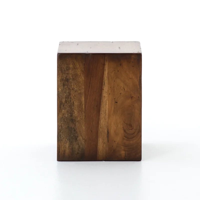 Parkview Contemporary Reclaimed Wood Square End Table
