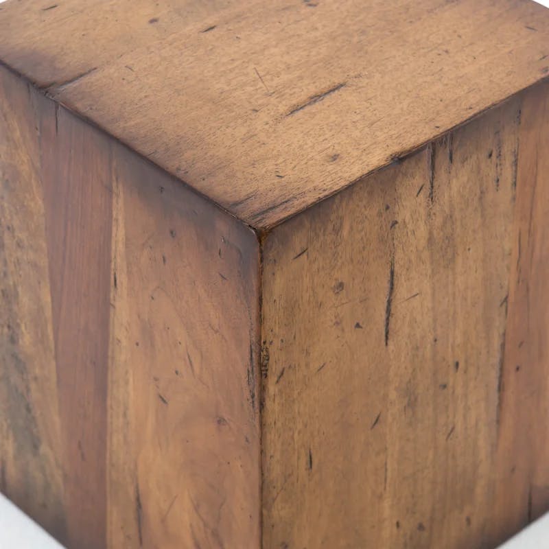 Parkview Contemporary Reclaimed Wood Square End Table