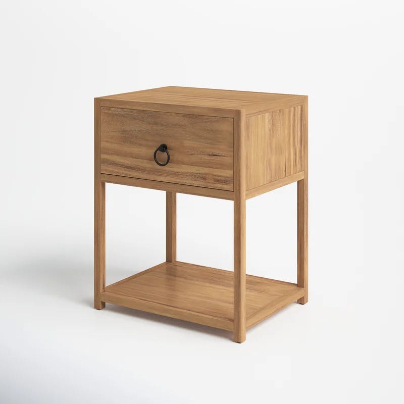 Transitional Modern Natural Wood and Black Metal End Table with Storage