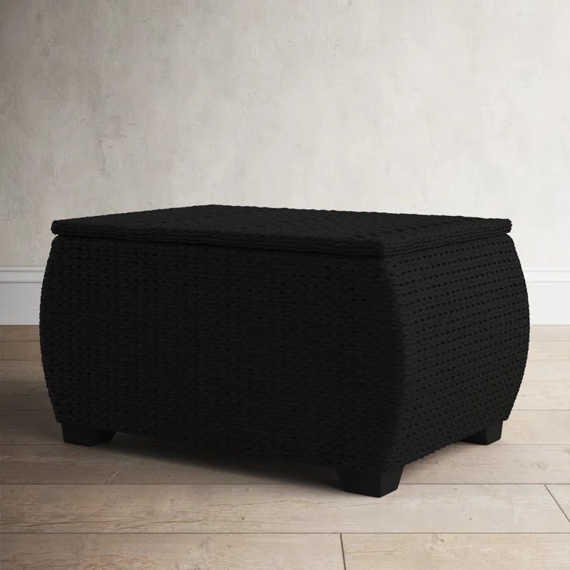 Hand-Woven Black Paper Rope 31'' Storage Chest with Wood Feet