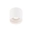Squat Frosted White Glass Cylinder Outdoor Flush Mount
