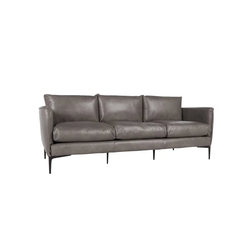 Mid Gray Luxe Leather Track Arm Sofa with Subtle Curves