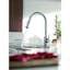 Sleek Steel Optik 16'' Brass Single Handle Pull-Down Kitchen Faucet