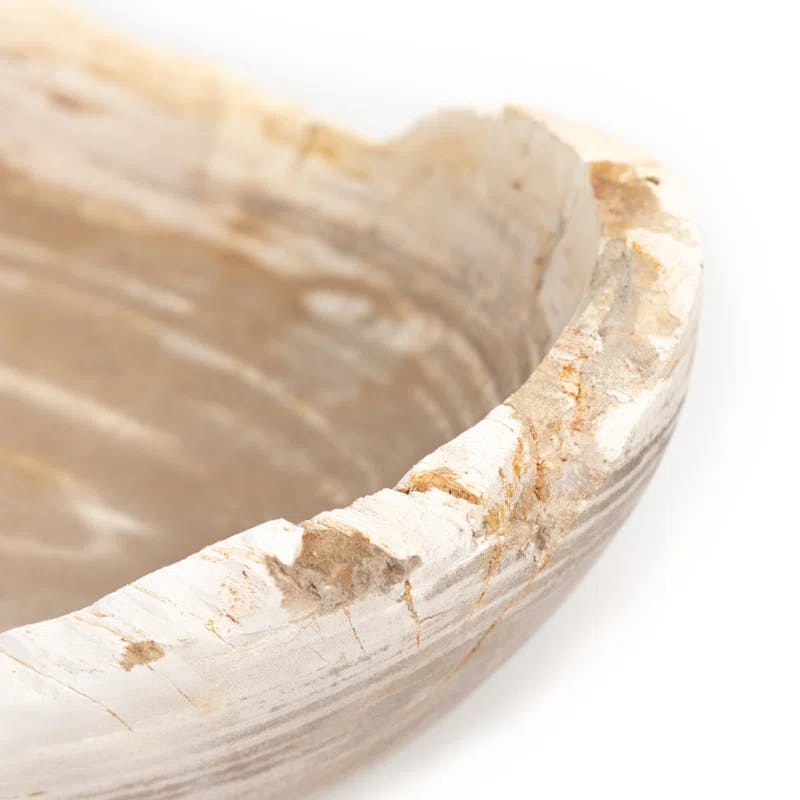 Eco-Chic Petrified Wood Decorative Bowl in Light Finish