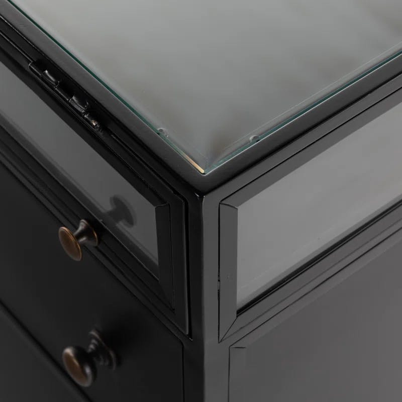 Belmont Matte Black Iron 2-Drawer Nightstand with Glass Enclosure