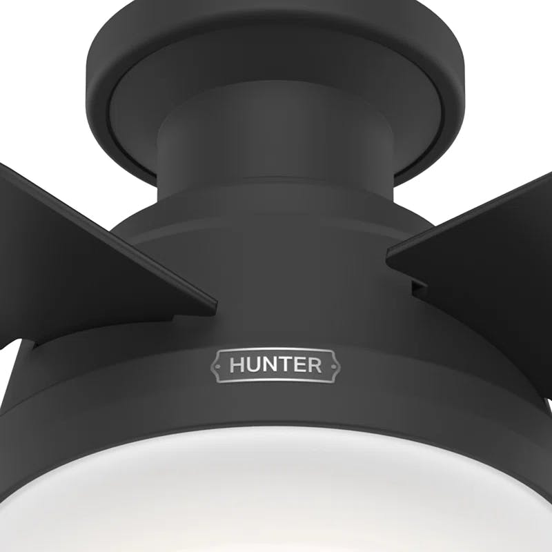 Dempsey 44" Matte Black Low Profile Ceiling Fan with LED Light & Remote
