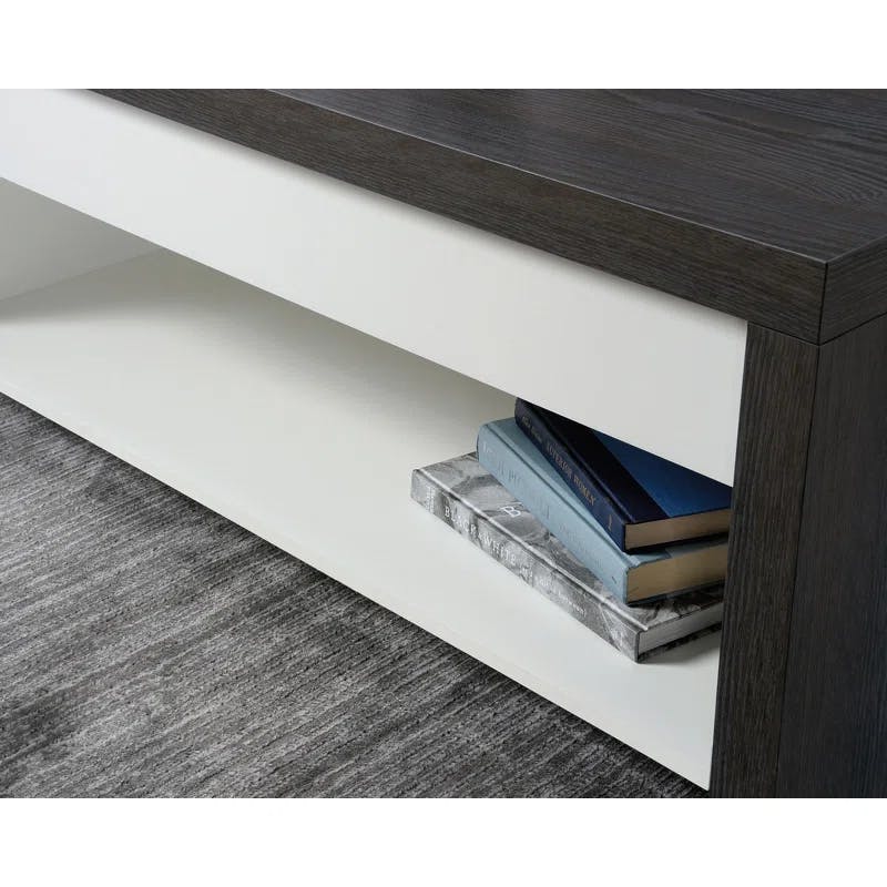 Charcoal Ash & Pearl Oak Rectangular Lift-Top Coffee Table with Storage