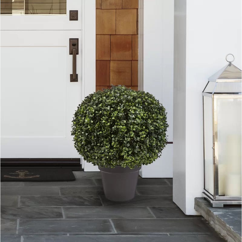 EverGreen Bliss 18'' Faux Boxwood Topiary in Outdoor-Ready Planter