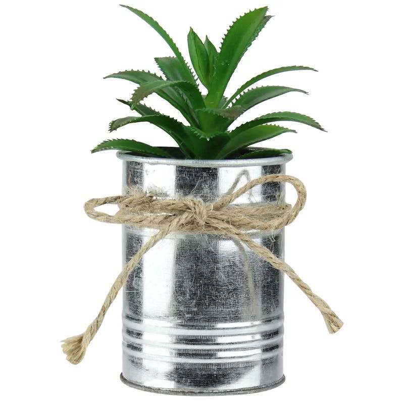 Festive 6" Mini Potted Green Succulent in Silver Tin Planter