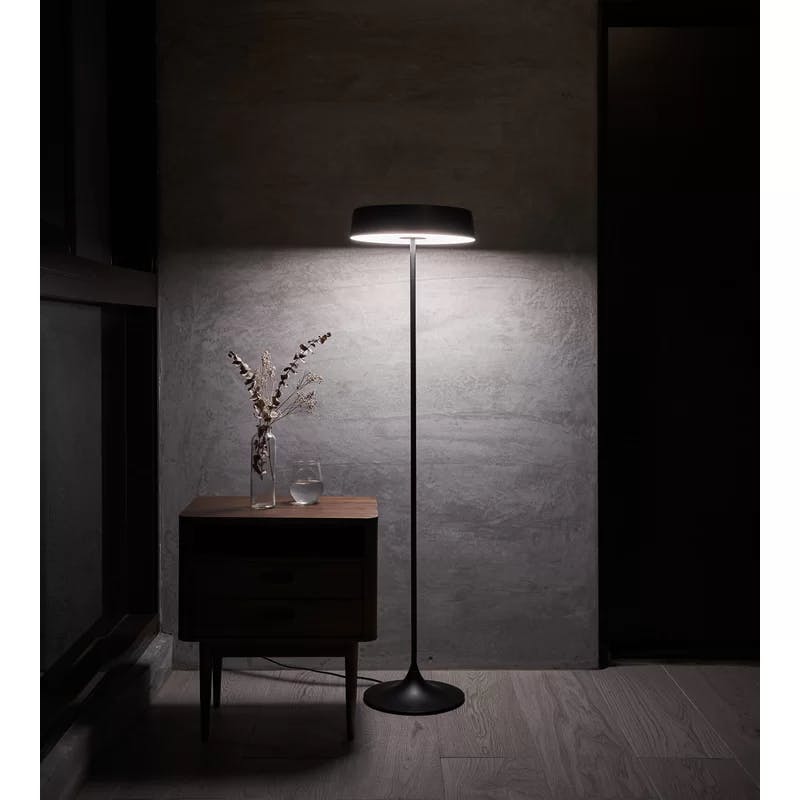 Seed Design 55'' Matte Black Traditional LED Floor Lamp