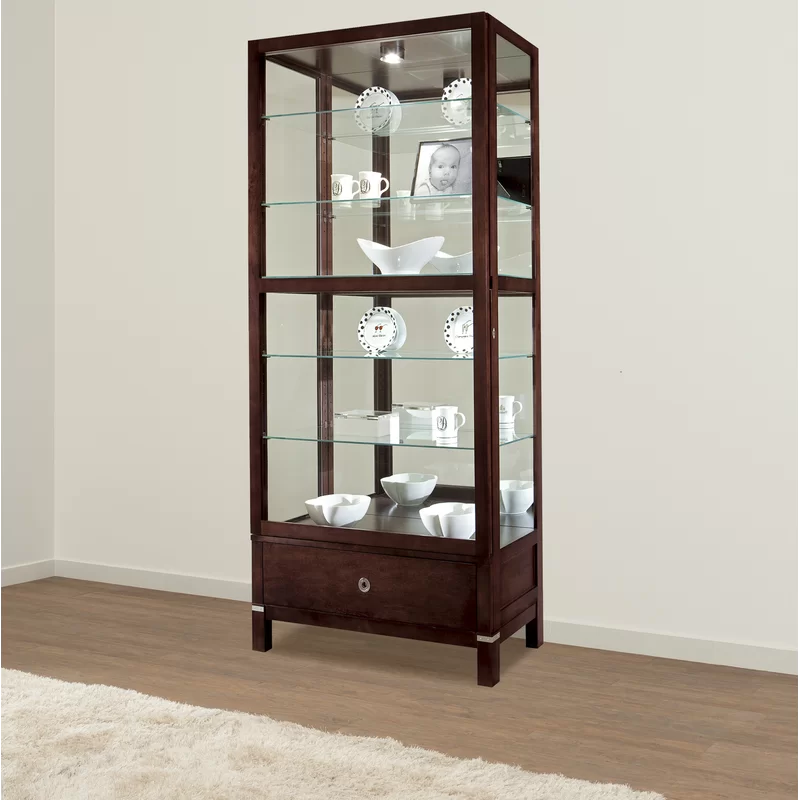 Espresso Traditional Lighted Curio Cabinet with Mirrored Back