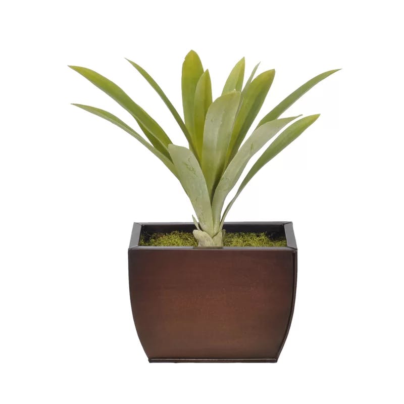 Contemporary Faux Yucca Grass in Gloss Brown Zinc Pot