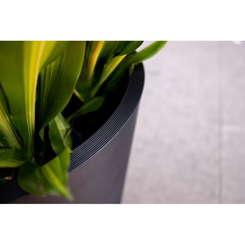 Veradek Curve 30" Grooved Black Polyethylene Outdoor Planter