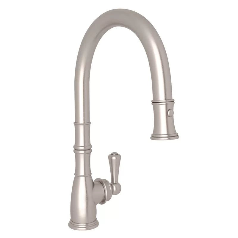 Elegant Georgian Classic Polished Nickel Pull-out Kitchen Faucet