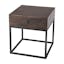 Emilia Coffee and Iron End Table With Storage