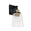 Aged Brass and Black Dimmable 1-Light Wall Sconce with Clear Glass Shade