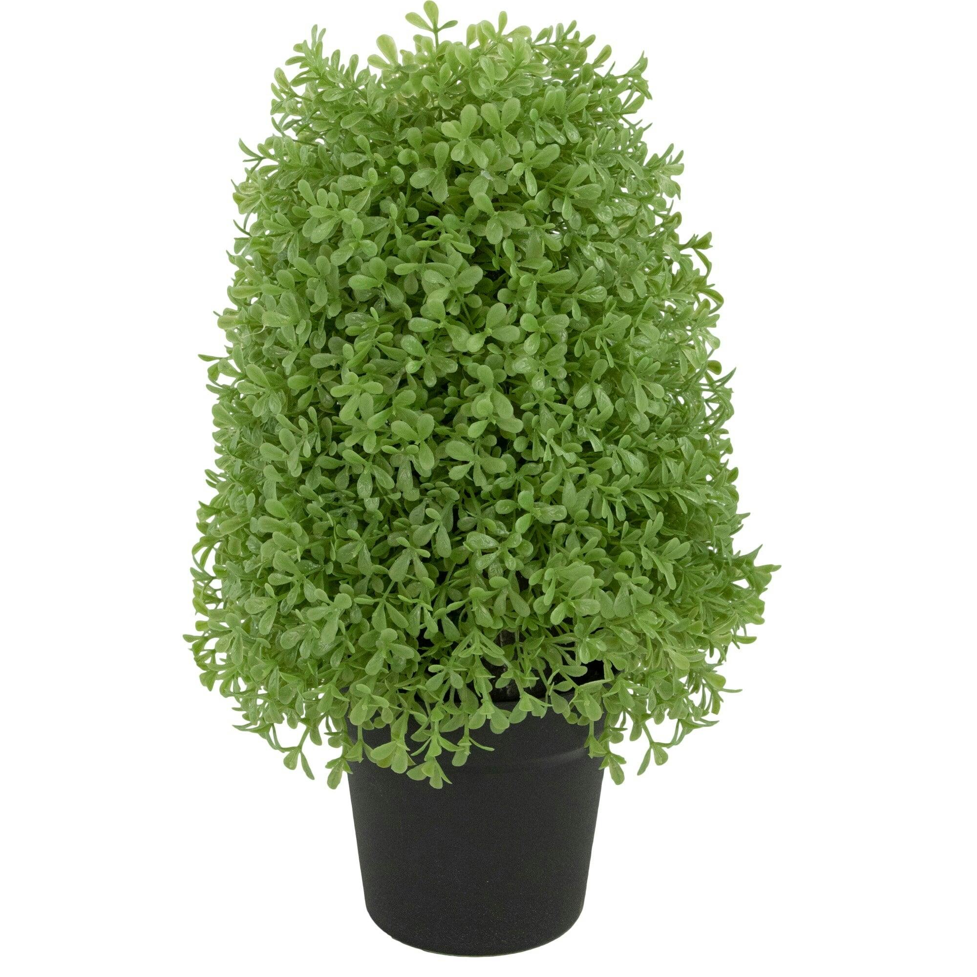 EverGreen 15" Unlit Artificial Boxwood Cone Topiary in Black Pot