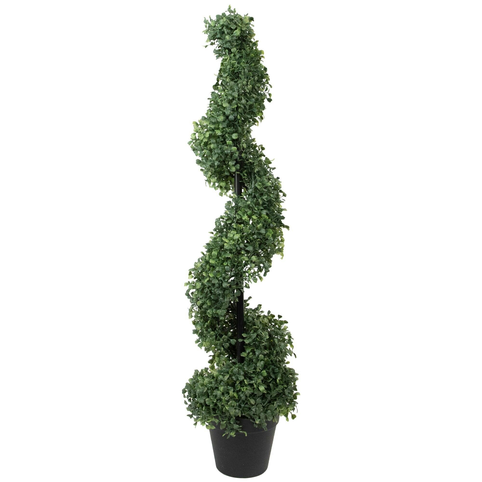 Elegant Two-Tone Boxwood Spiral Topiary, 38" Unlit with Black Pot
