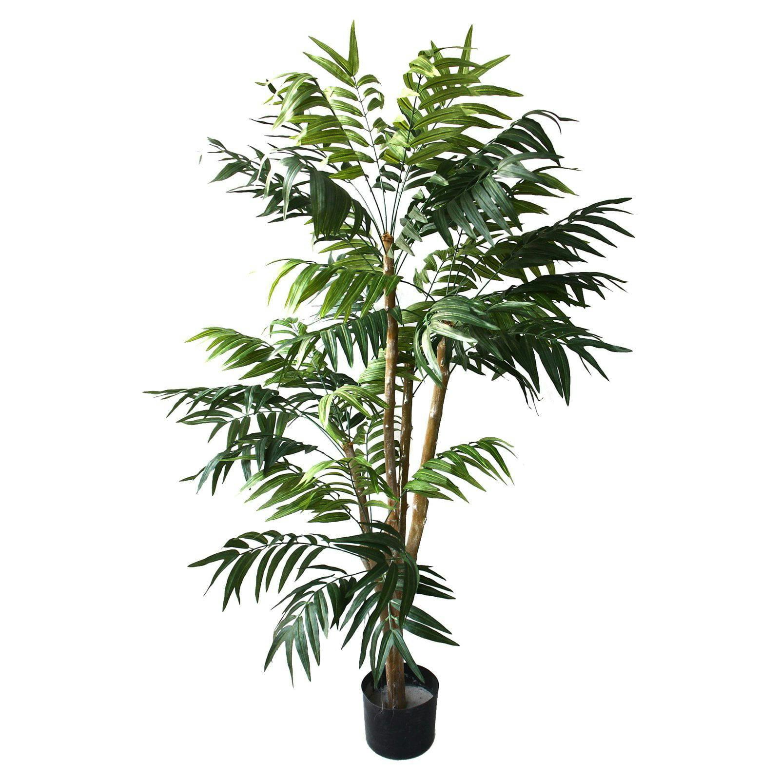 Evergreen Palm 60" Lush Tropical Indoor/Outdoor Tree