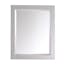 Contemporary Chilled Gray 24"x30" Poplar Wood Mirror Cabinet