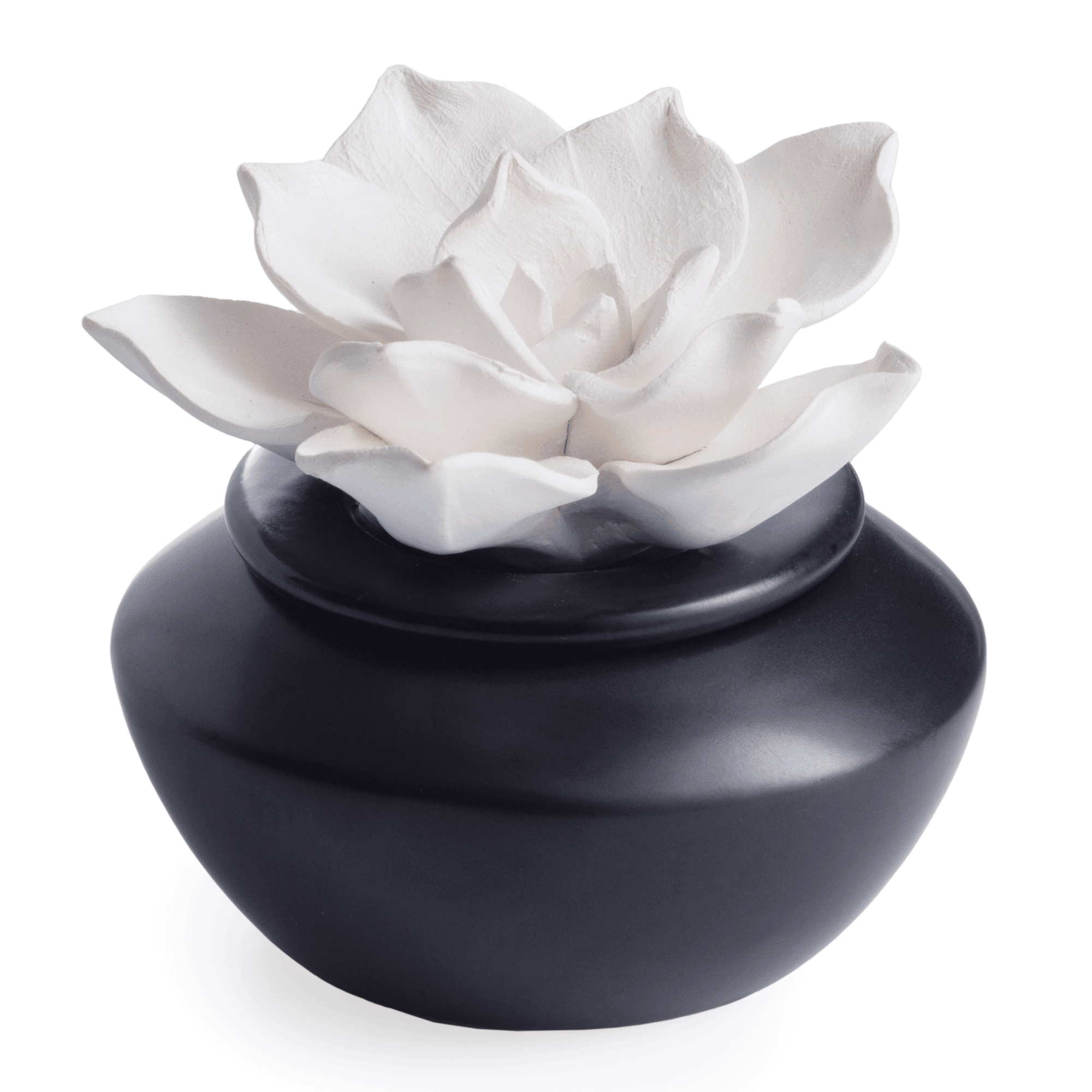 Botanical Porcelain Gardenia Electric Diffuser with Peppermint Oil