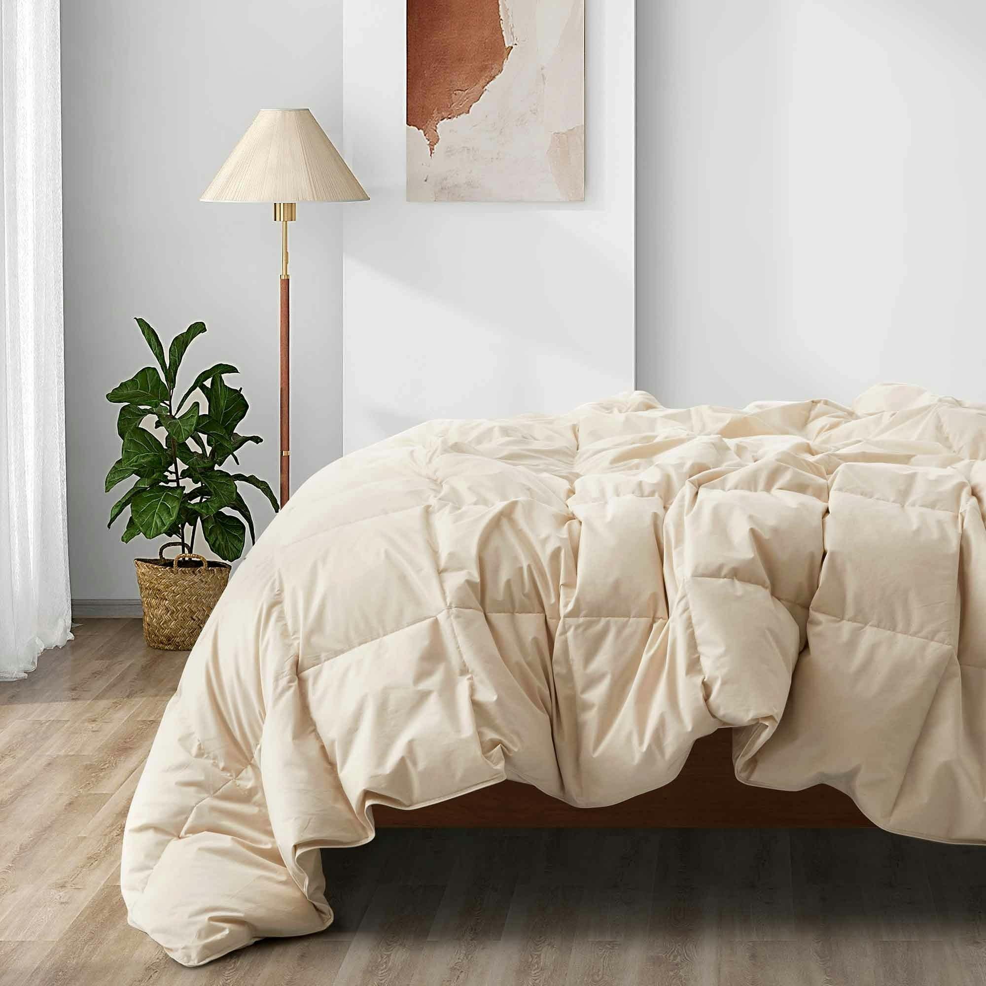 EcoDream Full/Queen Off-White Organic Cotton Down Comforter