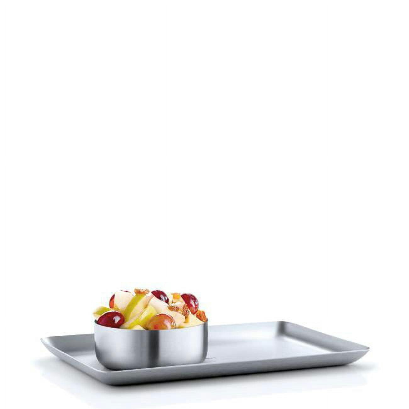 Elegance in Simplicity 15x25cm Matte Stainless Steel Serving Tray