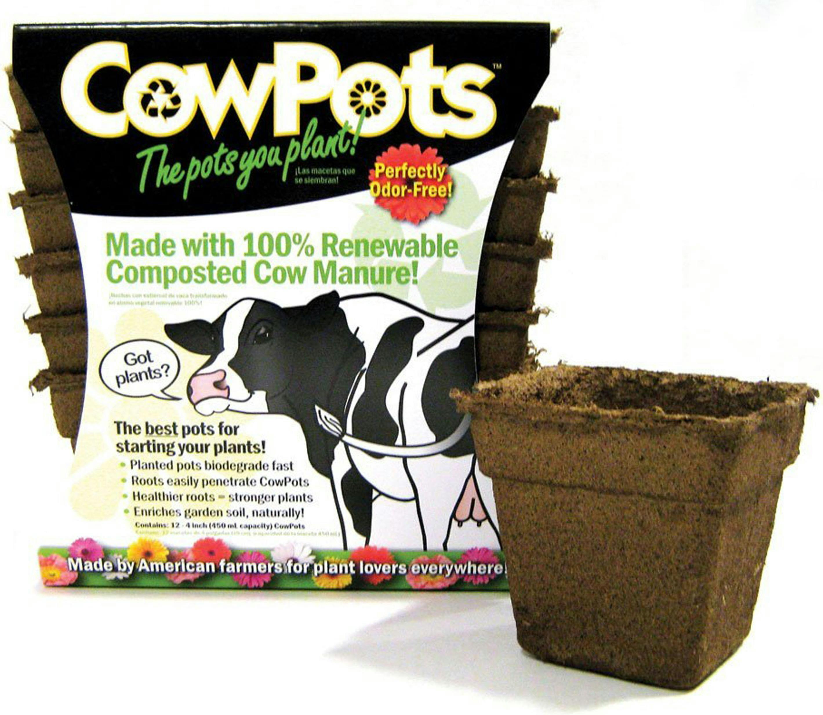 Eco-Friendly Plantable Cow Manure 4-inch Square Pots, 12-Pack