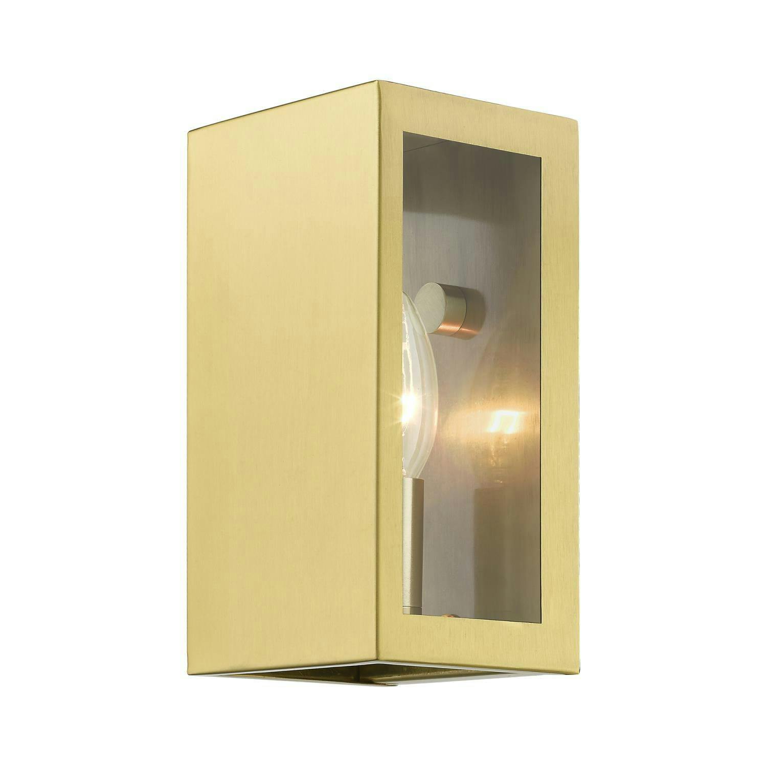 Satin Gold Stainless Steel 1-Light Outdoor Sconce with Clear Glass