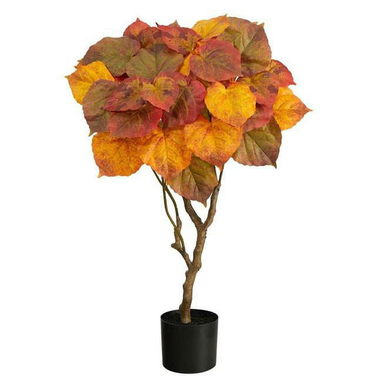 Transitional 3' Autumn Umbrella Ficus in Black Nursery Planter