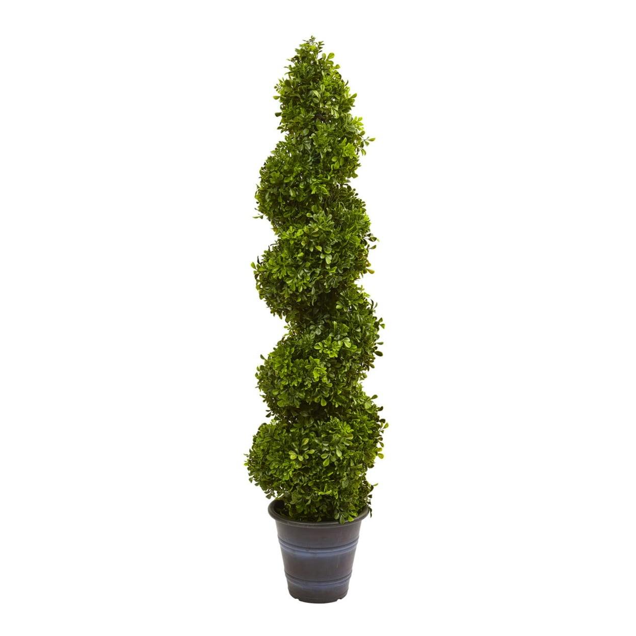 Elegant Spiral Boxwood Topiary in Planter, 4ft Outdoor Classic