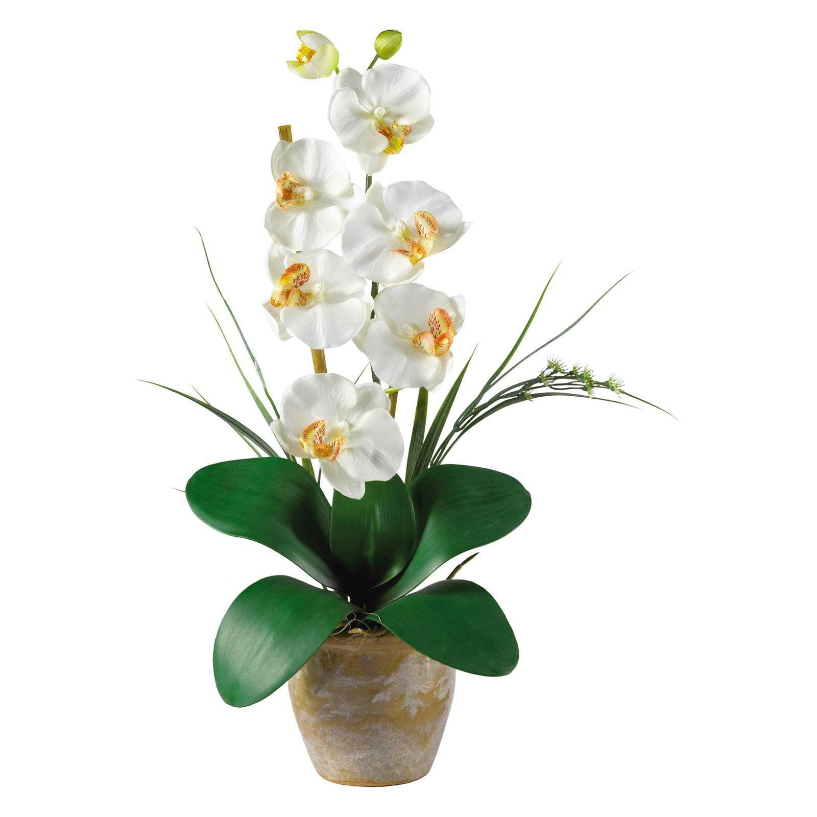 Elegant Orchid Cream Silk Tabletop Arrangement in Stylish Ceramic Pot