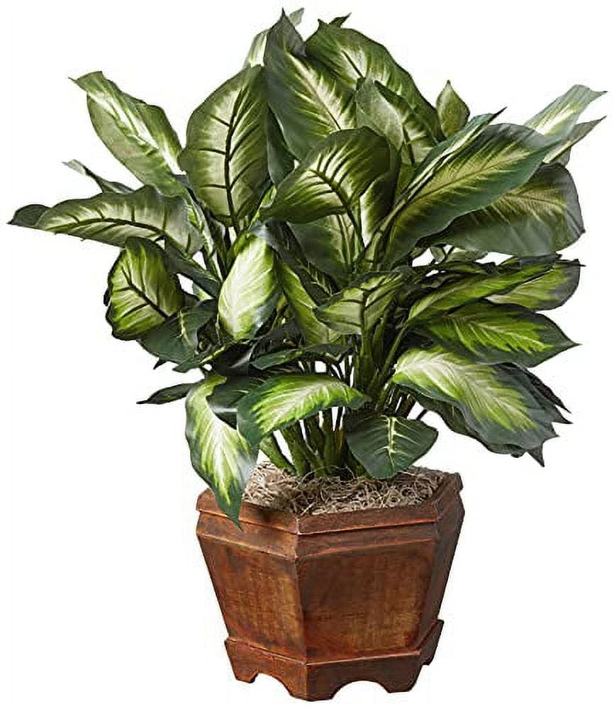 Compact Golden Leaf Dieffenbachia Silk Plant with Traditional Wooden Vase