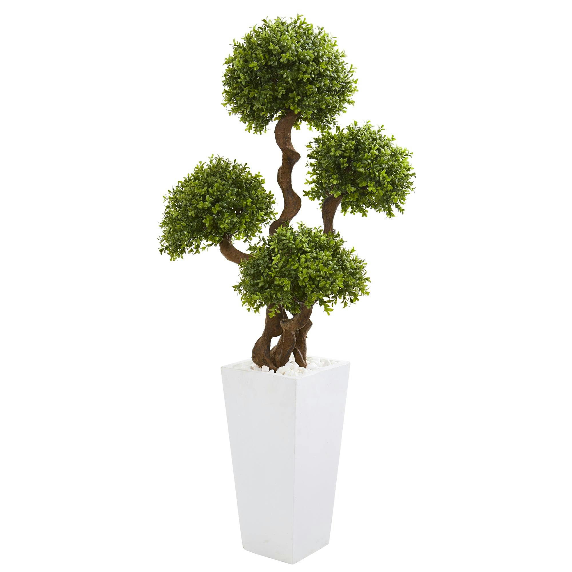 Bright Green 58" Boxwood Four-Ball Topiary in White Planter